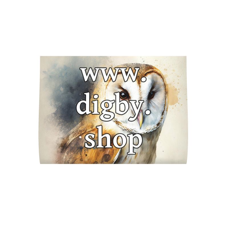 Barn Owl Print Cushion